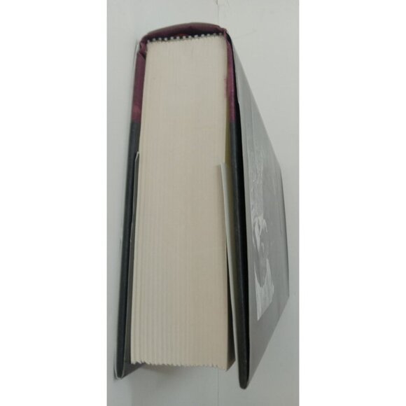 A Son of the Circus by John Irving – VG+ Literary Fiction Hardcover Book DJ - Picture 5 of 9